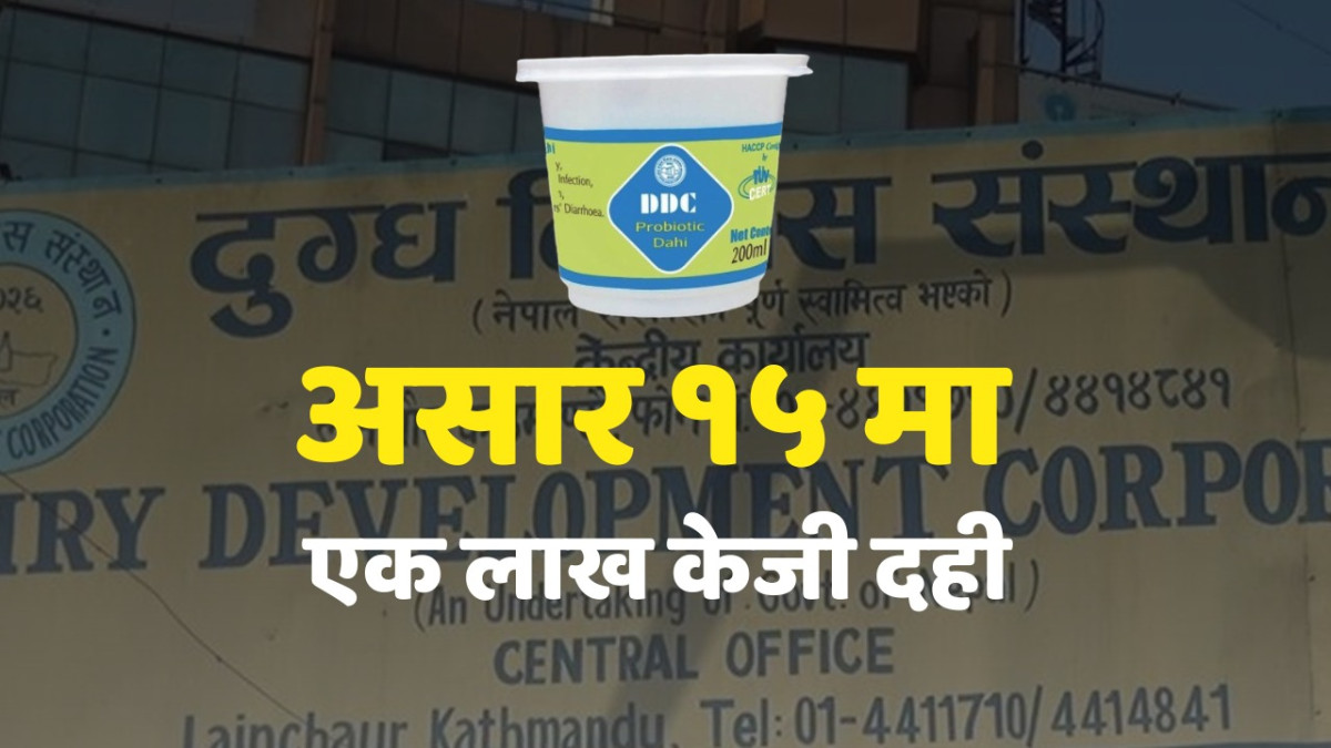१५ असार : डीडीसीले १ लाख केजी दही बिक्री गर्ने